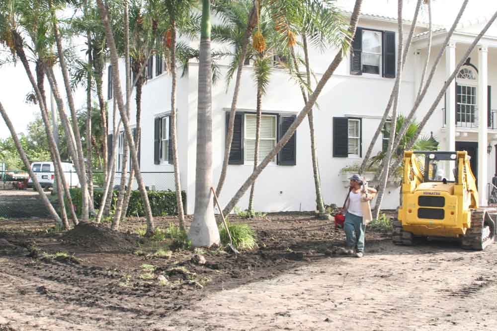 Landscaping Companies in Orlando Florida