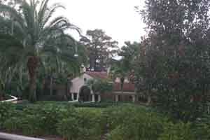 Landscape in winter park florida with palms